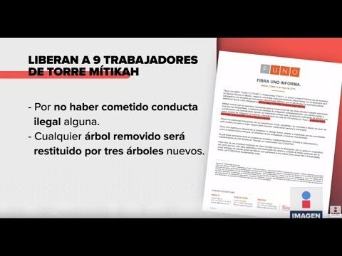 Liberan a trabajadores que talaron árboles para Mitikah | Noticias con Ciro Gómez Leyva