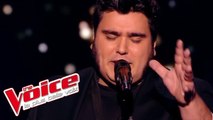 Screamin’ Jay Hawkins – I Put a Spell On You | Yoann Launay | The Voice France 2015 | Épreuve ultime