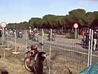 pinguinos 2008 desfile de baderas