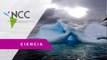 El deshielo glaciar desaliniza las aguas en la Antártida