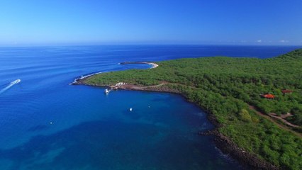 What Makes The Galapagos the Best Islands in Mexico, Central and South America