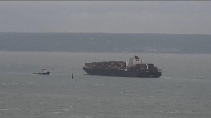 دعوى قضائية بفرنسا لمنع شحن أسلحة فرنسية بسفينة سعودية