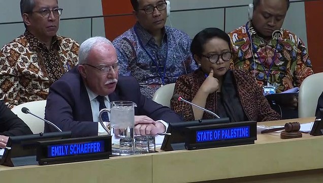 Filistin Dışişleri Bakanı Riyad el-Maliki BM'de konuştu - NEW YORK