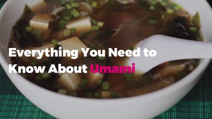 Everything You Need to Know About Umami