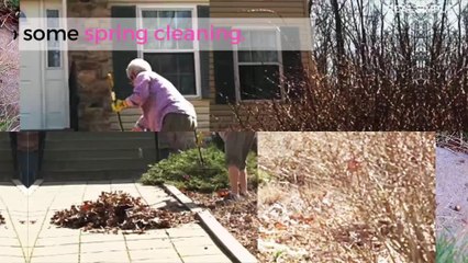 4 Things to Do Now for a More Beautiful Lawn All Summer Long