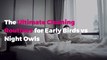 The Ultimate Cleaning Routines for Early Birds vs Night Owls