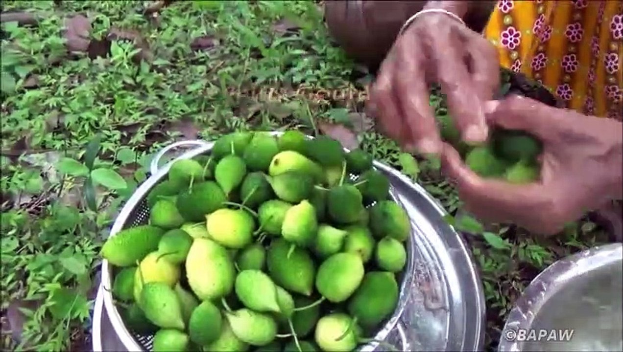 Sain Village Aliments  Épineux de Courge au Curry par grand-mère