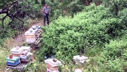 Kayıp alzaymır hastası ölü bulundu - MANİSA