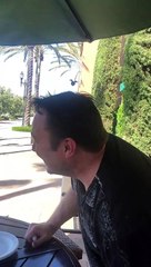 Bird Relentlessly Chases Man
