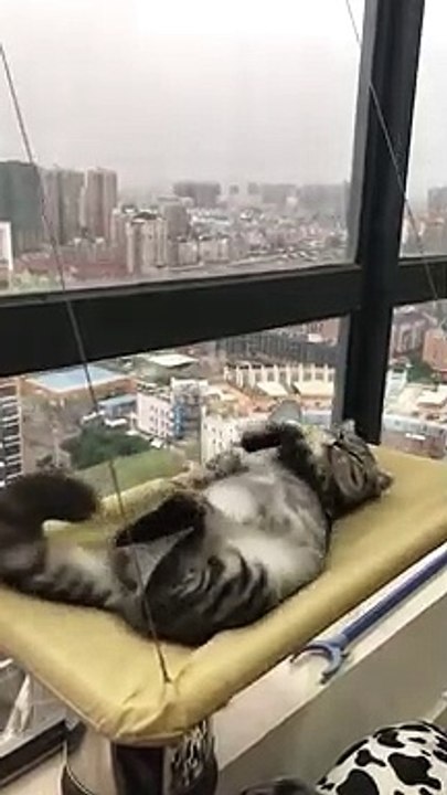 Aww.Comfortable