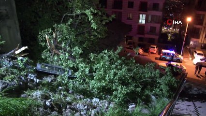 Kontrolden çıkan otomobil alt sokağa uçtu: 1 yaralı