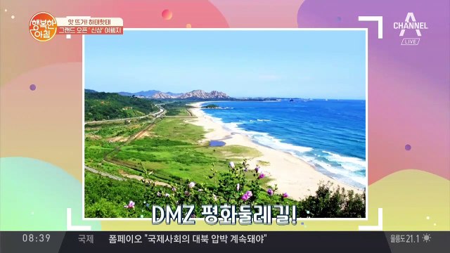 'DMZ 평화둘레길' 일반인 개방! 비무장지대 안으로 들어가도 안전할까?