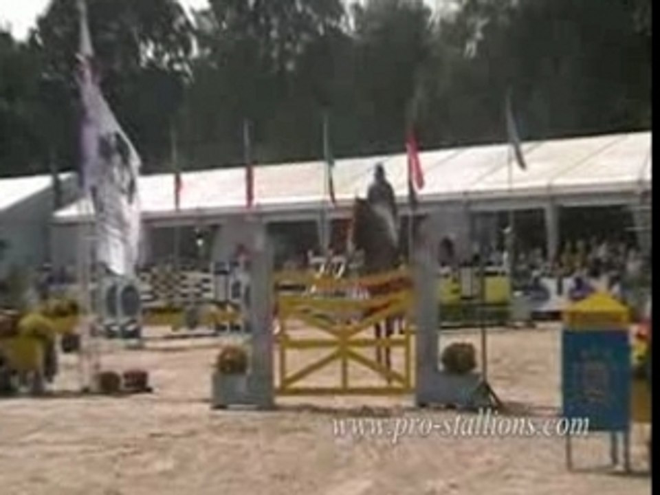 Andiamo Z