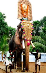 തെച്ചിക്കോട്ടുക്കാവ് രാമചന്ദ്രന്റെ ഹർജി ഇന്ന് ഹൈക്കോടതി പരിഗണിക്കും