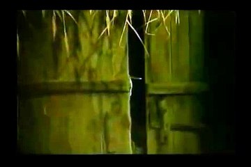 가입시꽁머니사이트 https://www.css900.com༼ː카지노사이트ː༽