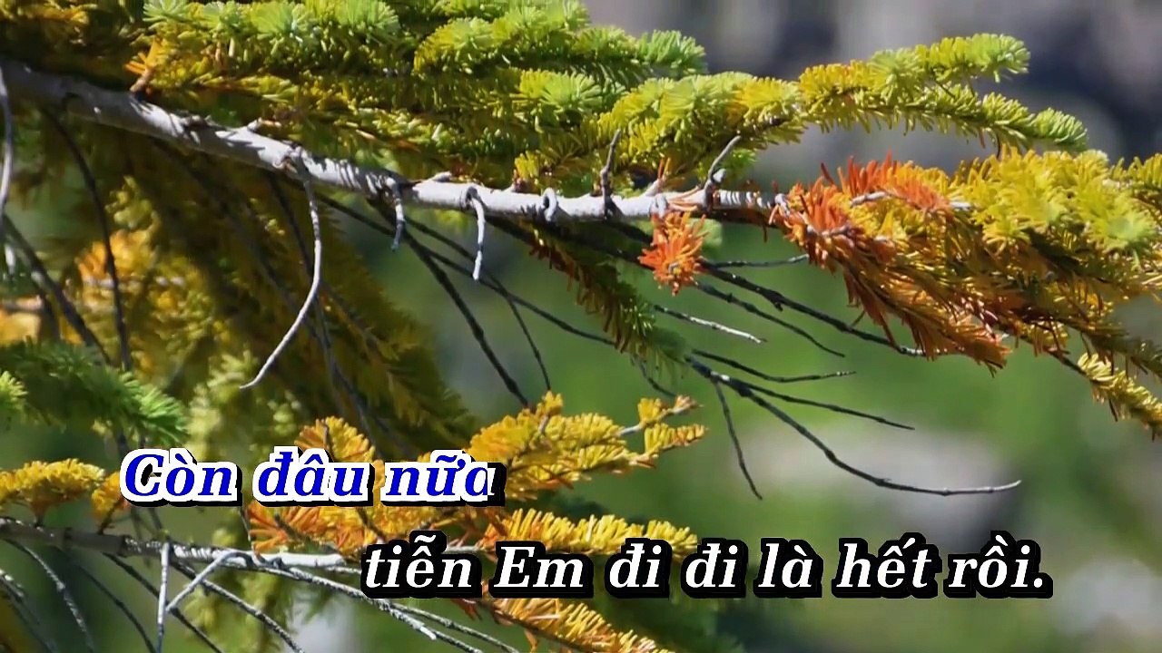 Cu Tuong Con Trong Tay - Che Linh