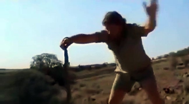 Rắn Taipan nội địa là loài rắn cạn độc nhất thế giới