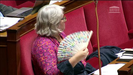 3ème séance : Interdiction effective de la pêche électrique (suite) - Jeudi 9 mai 2019