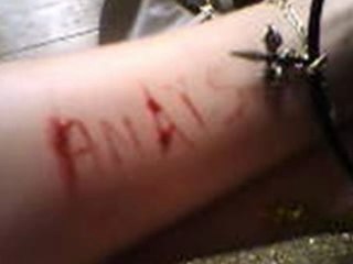 Evanescence My Immortal - Nayouche