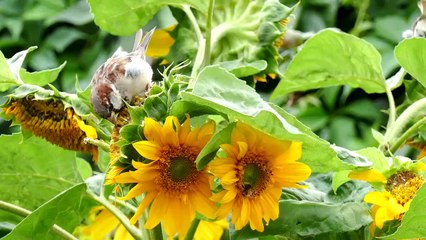 사설토토사이트 바로가기 ▶  yong79。com 온라인카지노 づぞ높인