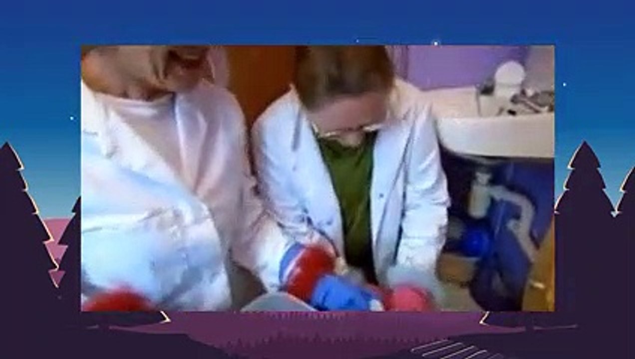 How Clean is Your House S05E08