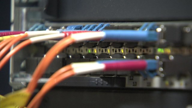 '증거인멸 지시' 삼성전자 임원 2명 구속 갈림길 / YTN