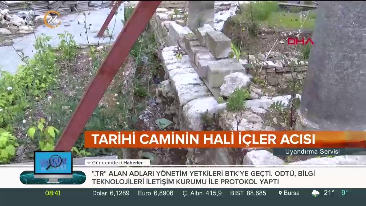 Defineciler talan etti