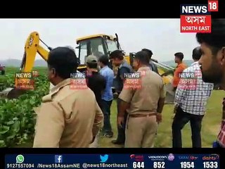 ঘন মেটেকাত আবদ্ধ হাতী পোৱালি