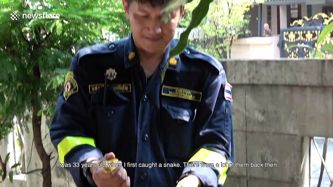 Fireman reveals how killer snakes are taking over the Thai capital