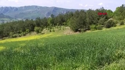 Samsun Kayıp Ecrin'i Arama Çalışmaları 3. Gününde Devam Ediyor-2