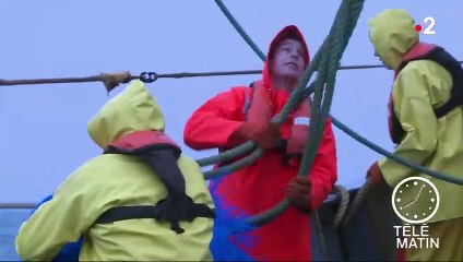 Écologie : l'Assemblée nationale vote l'interdiction de la pêche électrique en France