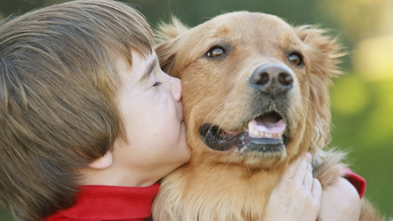 La terapia con perros puede reducir el dolor de los niños