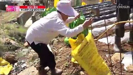 요지부동 할아버지 때문에 ⟡⌒⟡ 화가 난 엄마