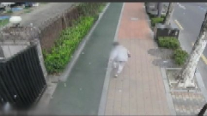 전동 휠로 초등생 '쿵'...20대 뺑소니범 검거 / YTN