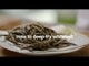 Deep Fried Whitebait Recipe | Good Housekeeping UK