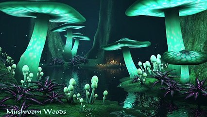 Celtic Forest Music - Mushroom Woods - Celtic Music 4K