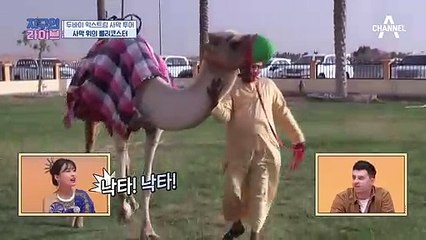 [두바이 익스트림 사막 투어] 모래 언덕을 달리는 '사막 위의 롤러코스터' 듄 베이싱!