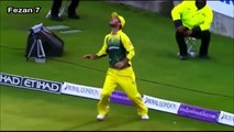 top 10 catch in cricket history  best cricket videos