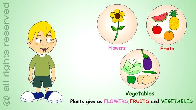 Uses of Plants- Learn About Plants