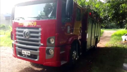 Bombeiros são mobilizados após queda de árvore