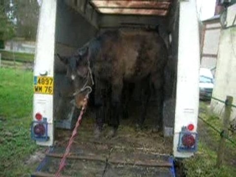 topaze fait le saut de l'ange lol