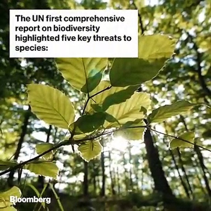 La nature est très belle mais elle est en danger. Regardez !