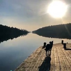 Ces moments magiques qu'on passe avec notre plus fidèle compagnon !