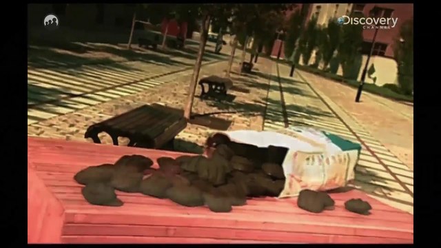 Nasıl Yapılmış - Mangal Kömürleri