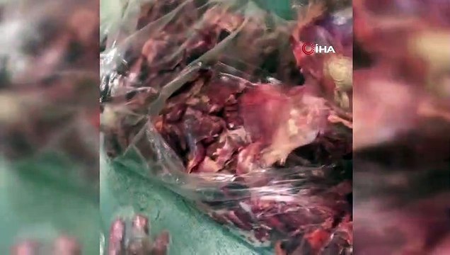Adana’da kokmuş horoz eti operasyonu: 450 kilo kokmuş horoz eti ele geçirildi