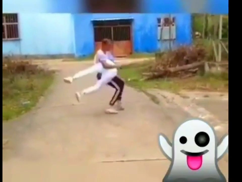 funny videos 2019