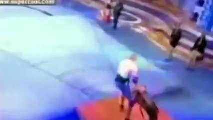 Vlog des Drachen 57 Hater Weitwurf