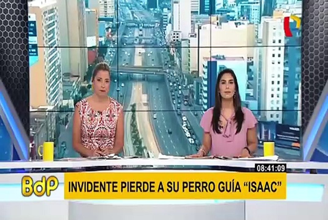 Ciudadano invidente pide ayuda para ubicar a su perro guía desaparecido