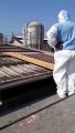 Ce que ces ouvriers découvrent en désamiantant un toit est incroyable