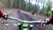 Un ours prend en chasse des cyclistes en pleine forêt en Slovaquie